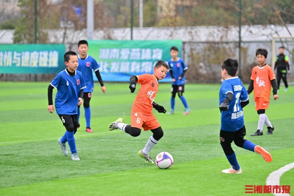 今年国内足球联赛规模扩大，竞争更加激烈