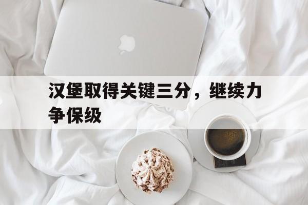 汉堡取得关键三分，继续力争保级的简单介绍