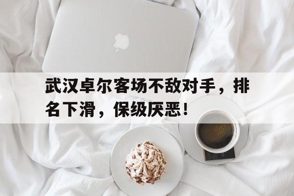 武汉卓尔客场不敌对手，排名下滑，保级厌恶！的简单介绍